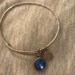 Alex and Ani charm bracelet